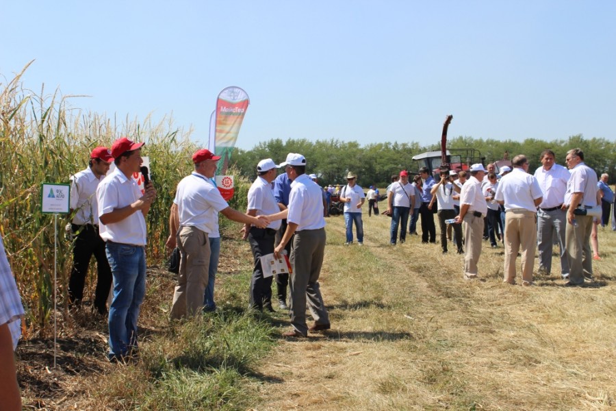 V Краевая выставка сельскохозяйственной техники и оборудования «День поля Ставропольского края 2014»