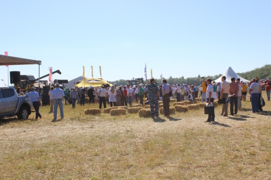 V Краевая выставка сельскохозяйственной техники и оборудования «День поля Ставропольского края 2014»